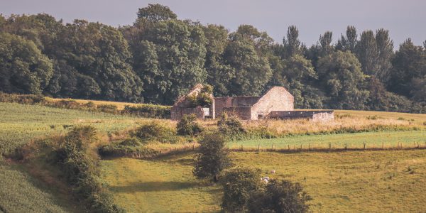 działka siedliskowa