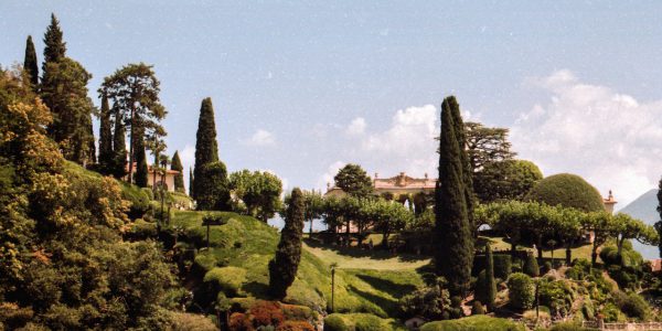 ogród w stylu włoskim